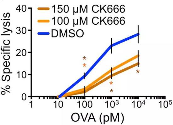 CK666�����£���������������Tϸ���԰�ϸ���ѽ����������½�